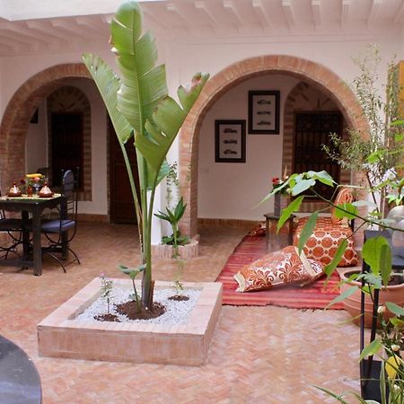 La Maison Berber Shams Marrakesh Ngoại thất bức ảnh