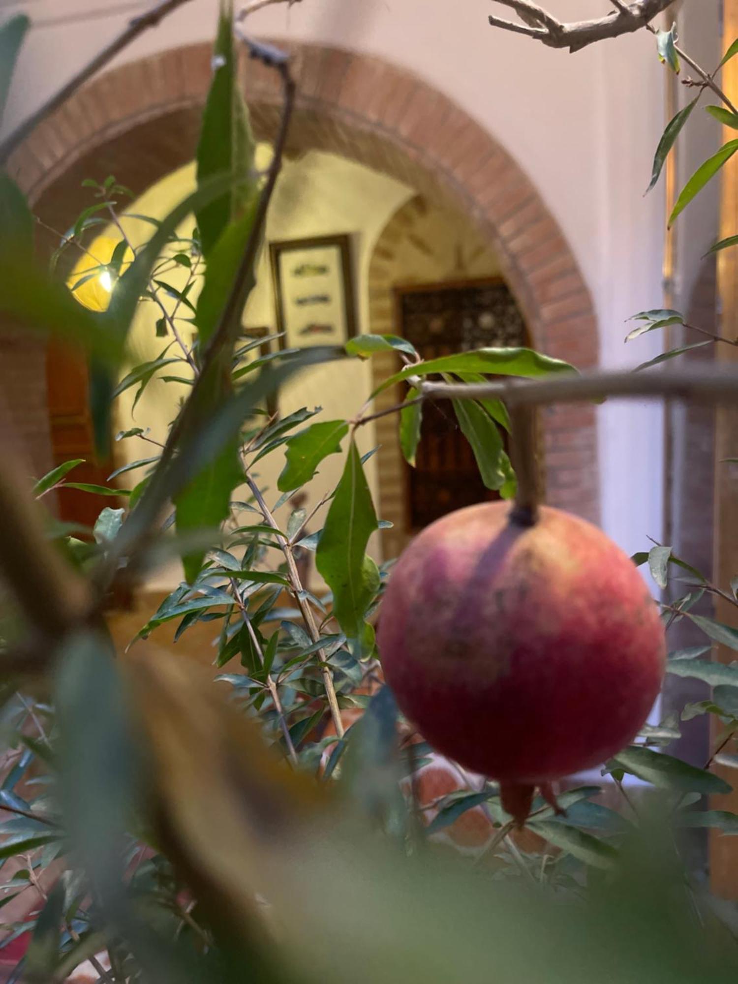 La Maison Berber Shams Marrakesh Ngoại thất bức ảnh